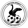 https://img.dqytl.com/img/football/team/1018e336c3899463ddd28046009e8331.png