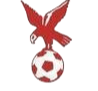 https://img.dqytl.com/img/football/team/4802d26df935b78bb2fcdbbff36e8864.png