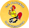 https://img.dqytl.com/img/football/team/63b0933cc303927659846a4ed54b1522.png