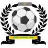 https://img.dqytl.com/img/football/team/6dc6d59af2f0962597b412473a6708ee.png